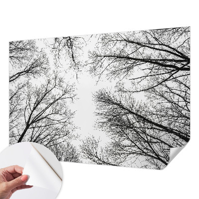 Fotobehang zelfklevend Kale takken