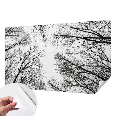 Fotobehang zelfklevend met een ontwerp van kale takken
