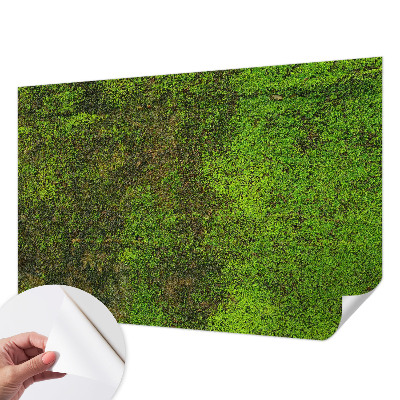 Fotobehang babykamer met groene loper