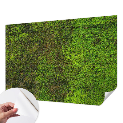 Fotobehang babykamer met groene loper