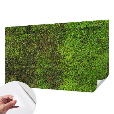 Fotobehang babykamer met groene loper