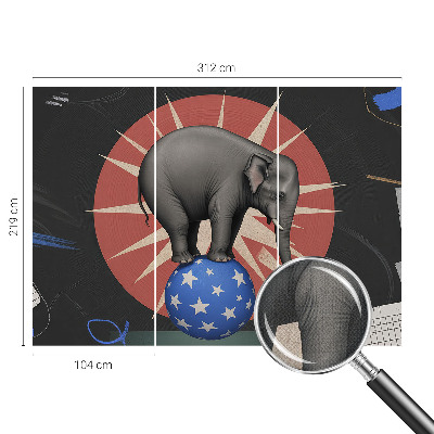 Zelfklevend fotobehang Circusolifant