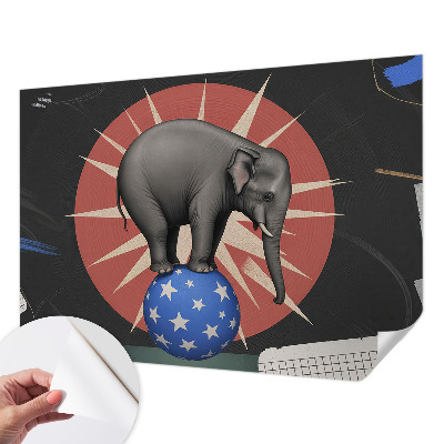 Zelfklevend fotobehang Circusolifant