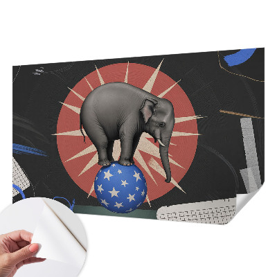 Zelfklevend fotobehang Circusolifant