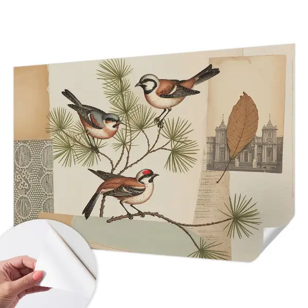 Zelfklevende behangsticker met een vogelcollage