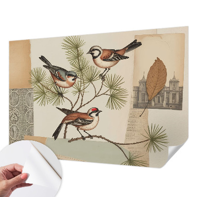 Zelfklevende behangsticker Vogelcollage