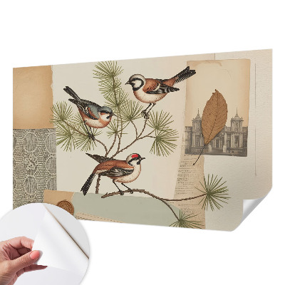 Zelfklevende behangsticker Vogelcollage