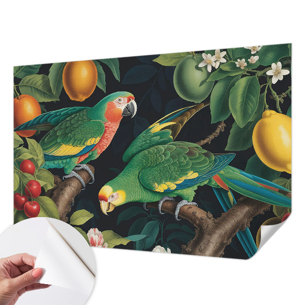 Foto behang voor de kinderkamer Tropisch avontuur