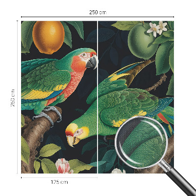 Foto behang voor de kinderkamer Tropisch avontuur