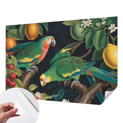 Foto behang voor de kinderkamer met een tropisch avontuur als motief