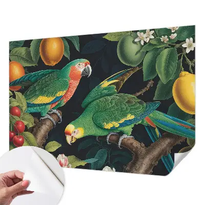 Foto behang voor de kinderkamer met een tropisch avontuur als motief