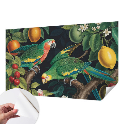 Foto behang voor de kinderkamer met een tropisch avontuur als motief