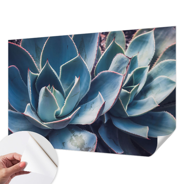 Fotobehang zelfklevend Groene aloë