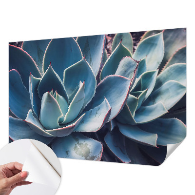 Fotobehang zelfklevend met een groen aloë-ontwerp