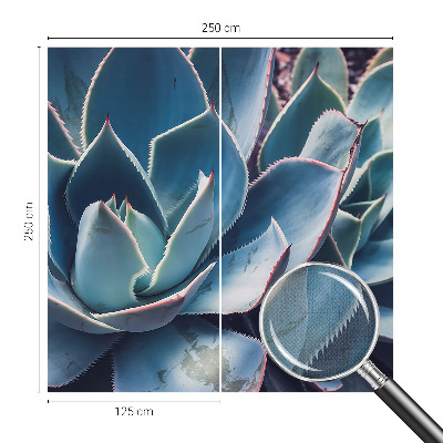 Fotobehang zelfklevend Groene aloë