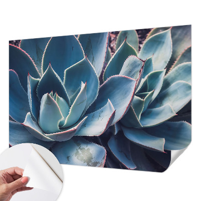 Fotobehang zelfklevend Groene aloë