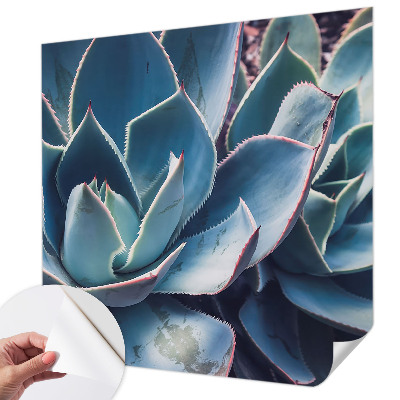 Fotobehang zelfklevend Groene aloë