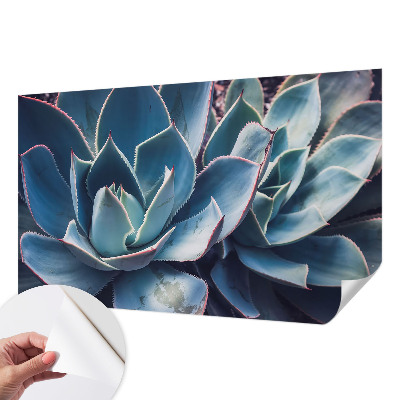 Fotobehang zelfklevend Groene aloë