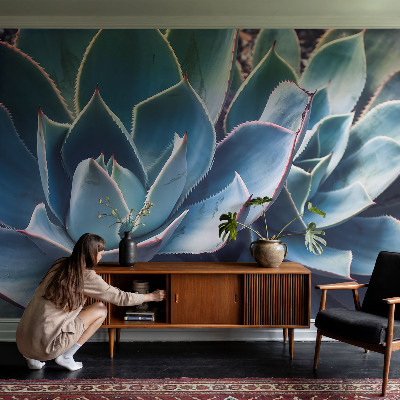 Fotobehang zelfklevend Groene aloë