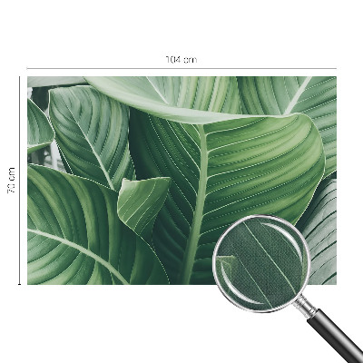 Fotobehang voor kinderkamer Greenpeace