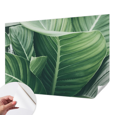 Fotobehang voor kinderkamer Greenpeace