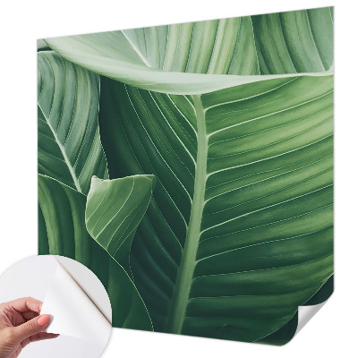 Fotobehang voor kinderkamer Greenpeace