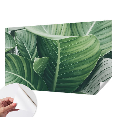 Fotobehang voor kinderkamer met het Greenpeace-logo