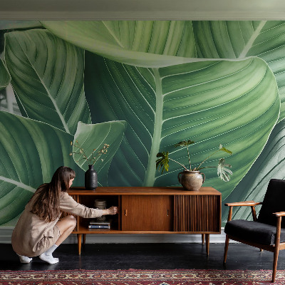 Fotobehang voor kinderkamer Greenpeace