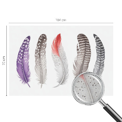 Foto behang voor de keuken Gedessineerde veren