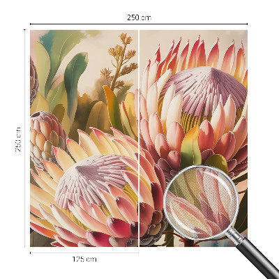 Foto behang voor de keuken Protea-bloemen