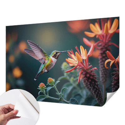 Zelfklevende behangsticker met kolibriebloemen als motief