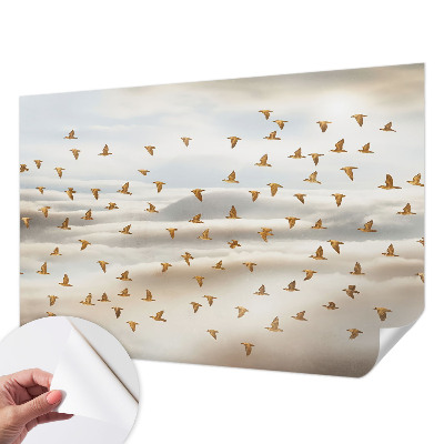 Foto behang voor de kinderkamer met een print van vogels in vlucht