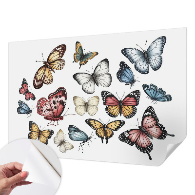 Fotobehang voor de kinderkamer met paradijsvlinders als motief