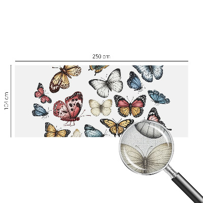 Fotobehang voor de kinderkamer Paradijsvlinders