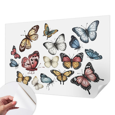 Fotobehang voor de kinderkamer met paradijsvlinders als motief