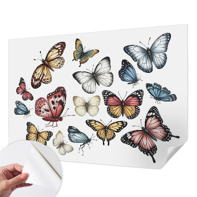 Fotobehang voor de kinderkamer met paradijsvlinders als motief