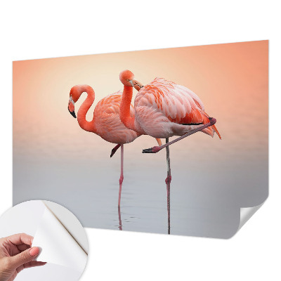 Zelfklevend fotobehang op maat Delicate flamingo's