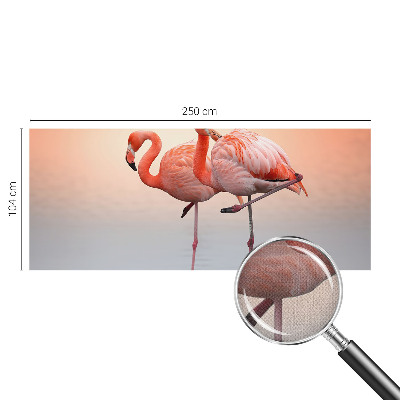 Zelfklevend fotobehang op maat Delicate flamingo's