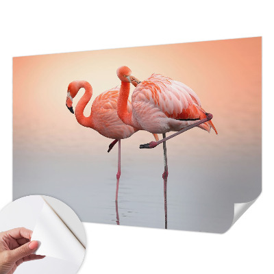 Zelfklevend fotobehang op maat Delicate flamingo's