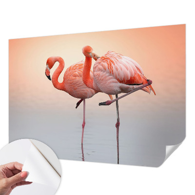 Zelfklevend fotobehang op maat Delicate flamingo's