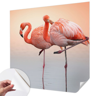 Zelfklevend fotobehang op maat Delicate flamingo's