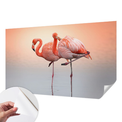 Zelfklevend fotobehang op maat Delicate flamingo's