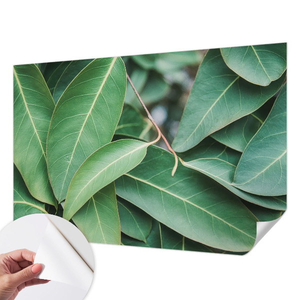 Zelfklevend fotobehang Groene bladeren