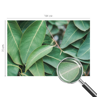 Zelfklevend fotobehang Groene bladeren