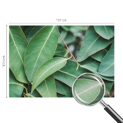 Zelfklevend fotobehang Groene bladeren