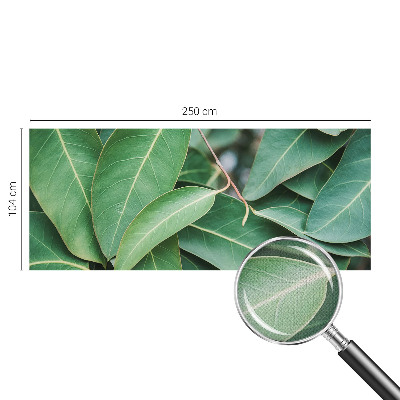 Zelfklevend fotobehang Groene bladeren