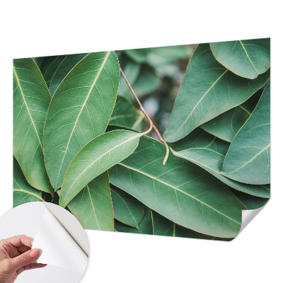 Zelfklevend fotobehang Groene bladeren