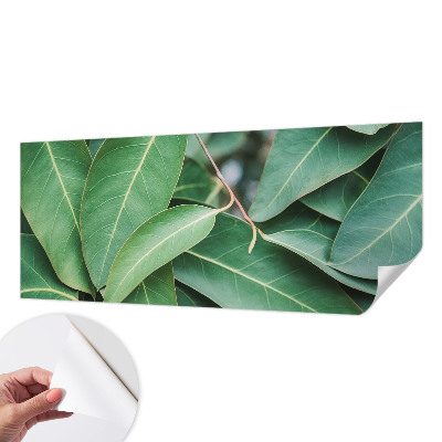 Zelfklevend fotobehang Groene bladeren
