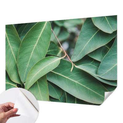 Zelfklevend fotobehang Groene bladeren