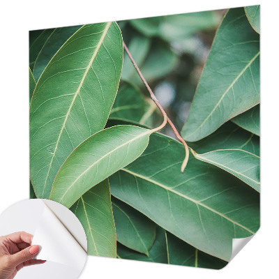 Zelfklevend fotobehang Groene bladeren